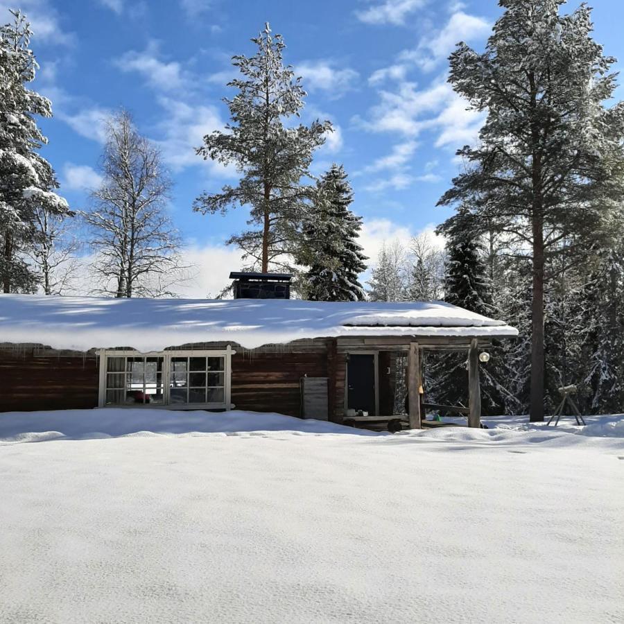 Ollero Eco Lodge Rovaniemi Exterior photo